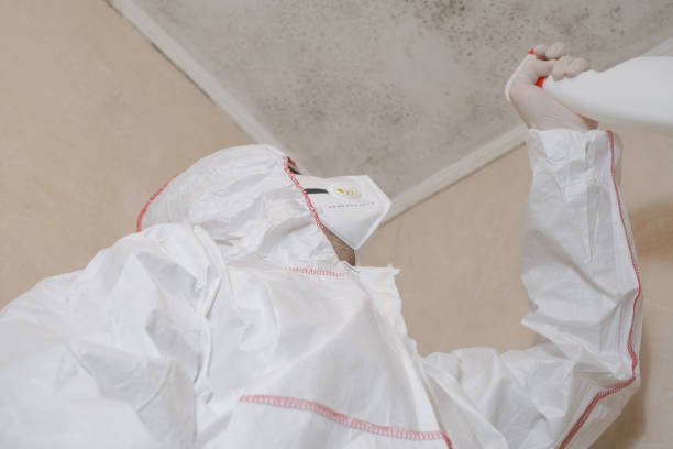 Best DIY Mold Remediation Support Services in Tryon, NC