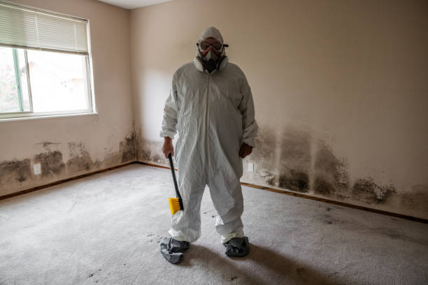 Best HVAC Mold Remediation in Tryon, NC